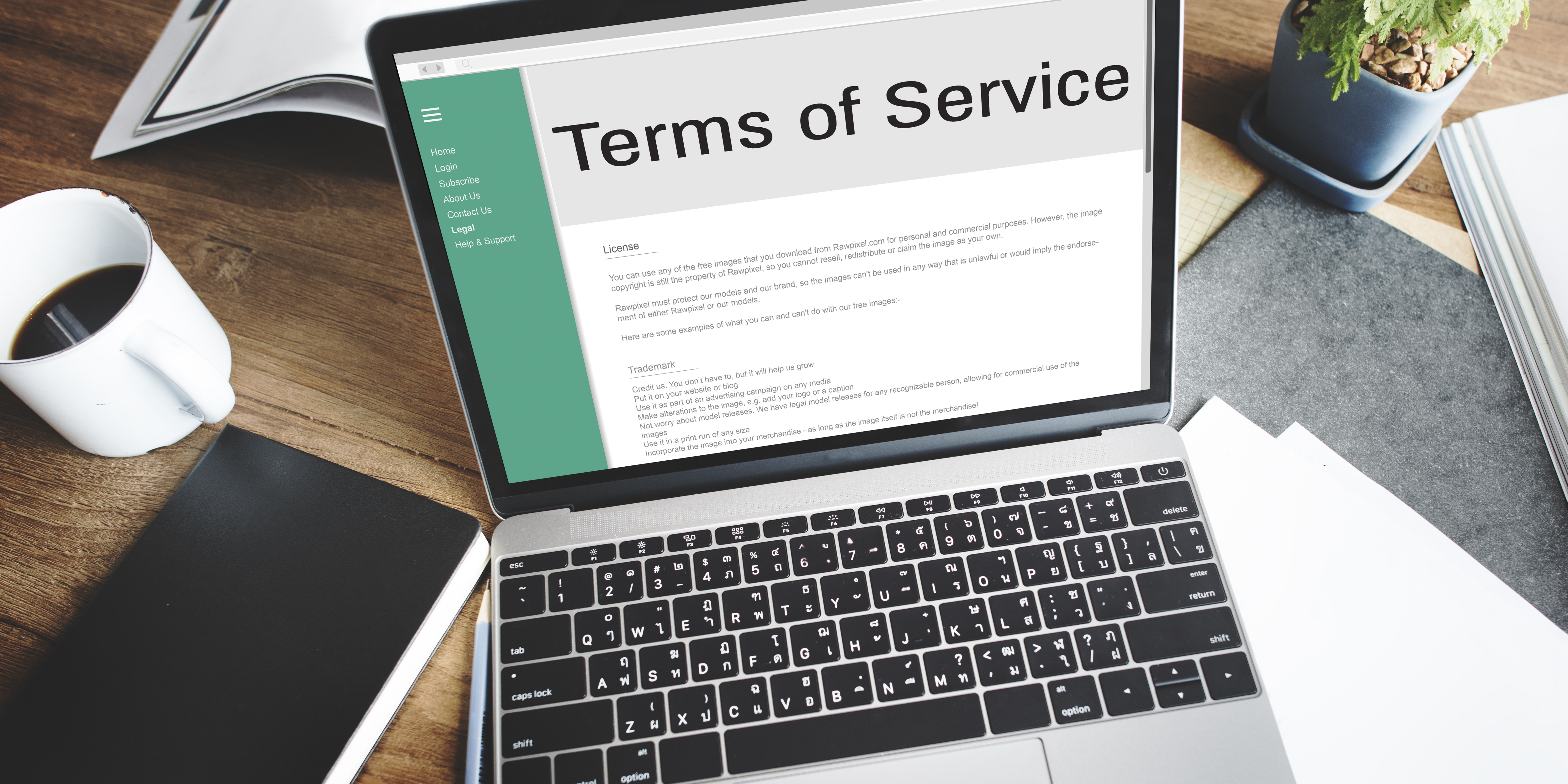 Skulez Terms of Service Agreement